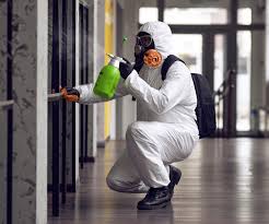 Stony Brook University, NY Mold Removal & Remediation Company